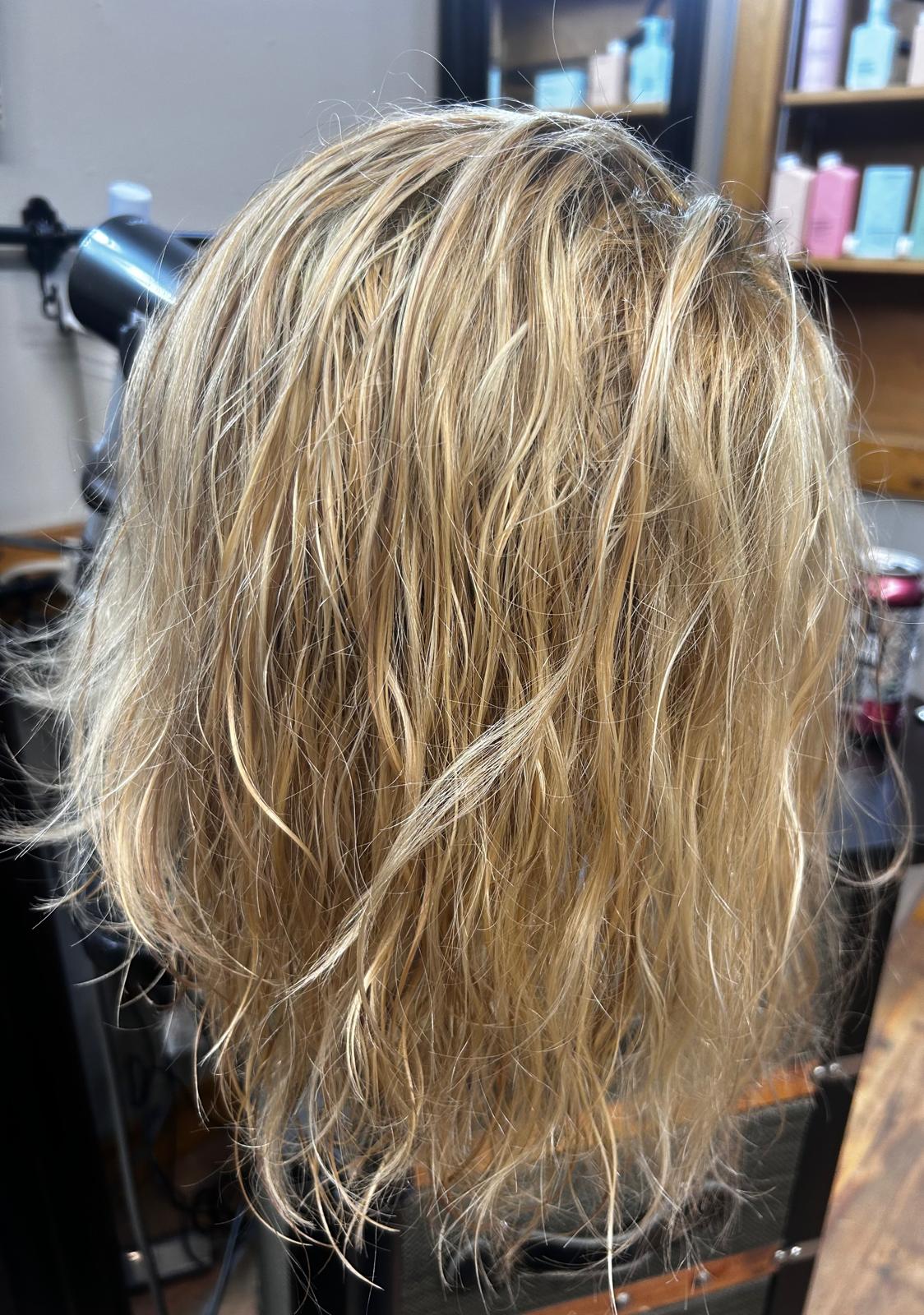 Wig before — frizzy, tangled, and unstyled